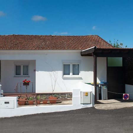 サンタ・マリア・ダ・フェイラ Casa Do Carvalhal - Natureza No Centro Da Cidadeゲストハウス エクステリア 写真