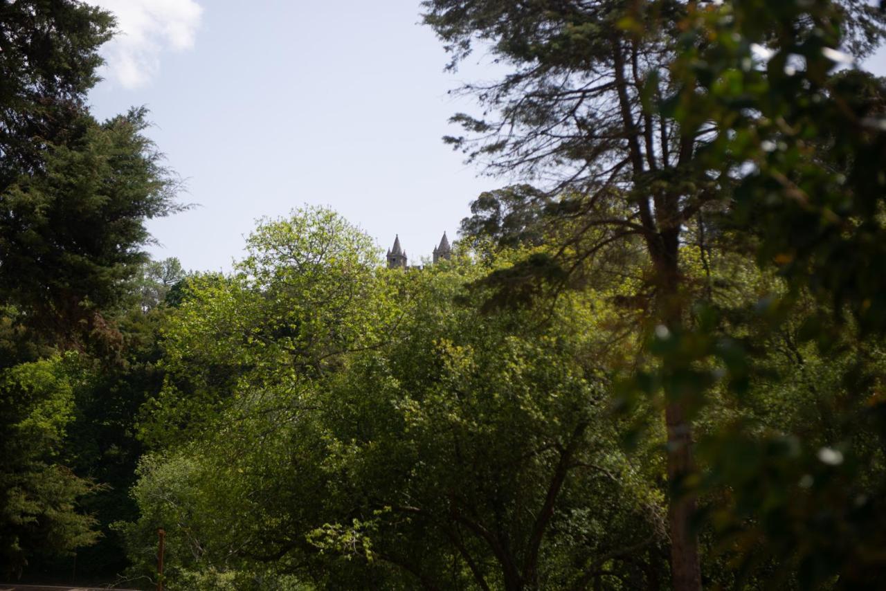 サンタ・マリア・ダ・フェイラ Casa Do Carvalhal - Natureza No Centro Da Cidadeゲストハウス エクステリア 写真