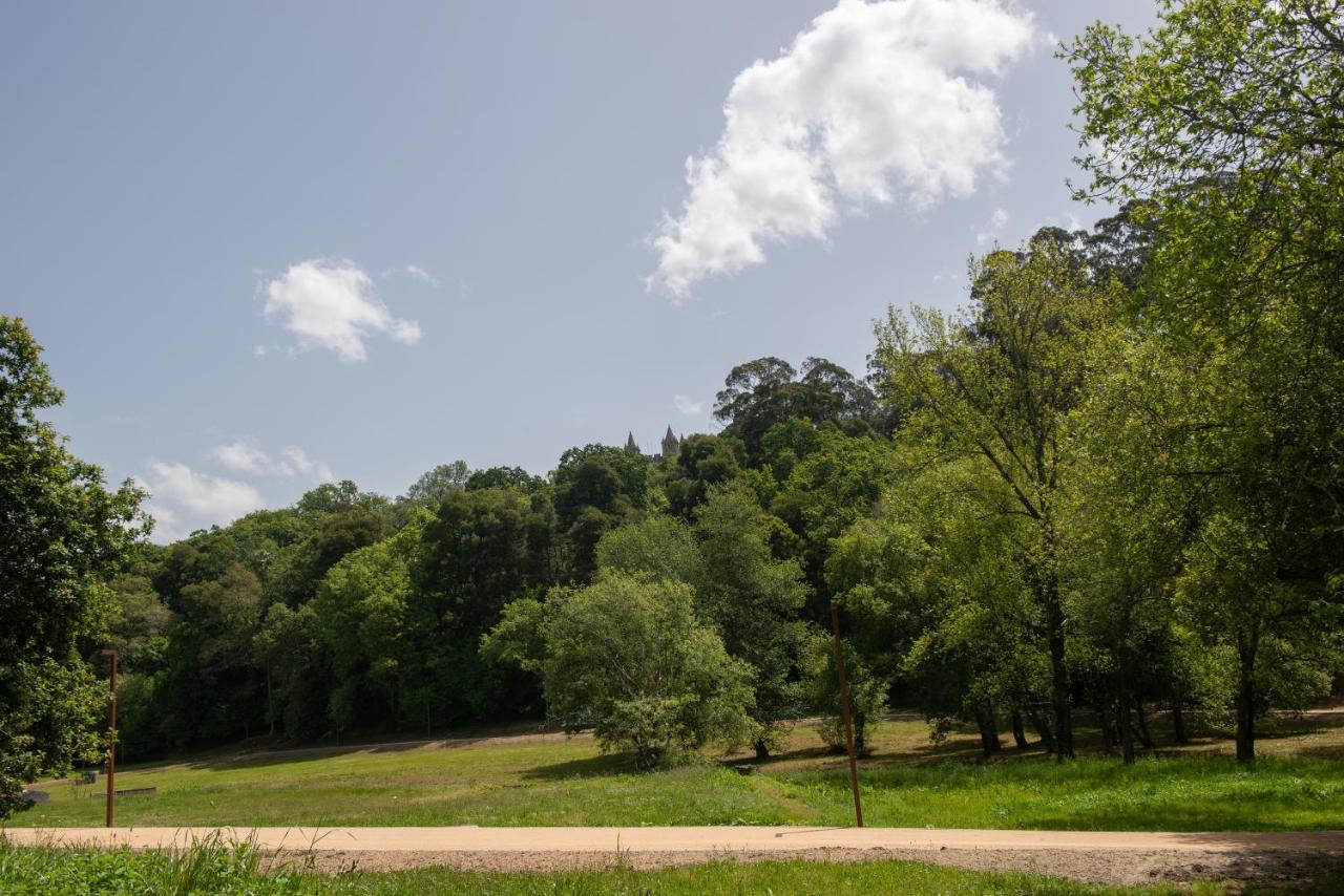 サンタ・マリア・ダ・フェイラ Casa Do Carvalhal - Natureza No Centro Da Cidadeゲストハウス エクステリア 写真